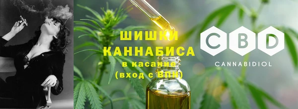 индика Абдулино