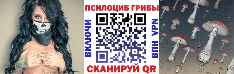 купить наркотик  Андреаполь  Галлюциногенные грибы мицелий 